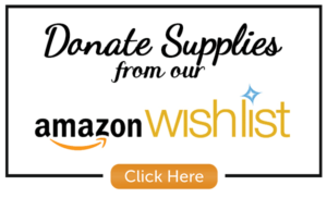 Amazon-Wishlist-Logo