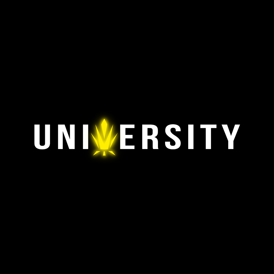 Trap University 3
